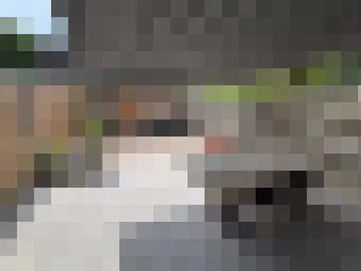 Bremlaan 23 Vroomshoop thumbnail 32