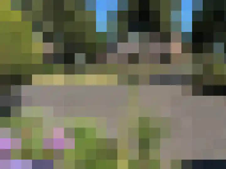 Bremlaan 23 Vroomshoop thumbnail 33