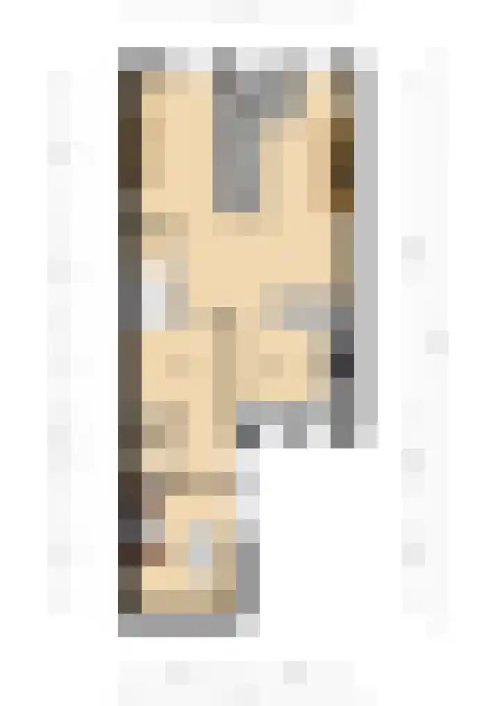 Bremlaan 23 Vroomshoop thumbnail 34