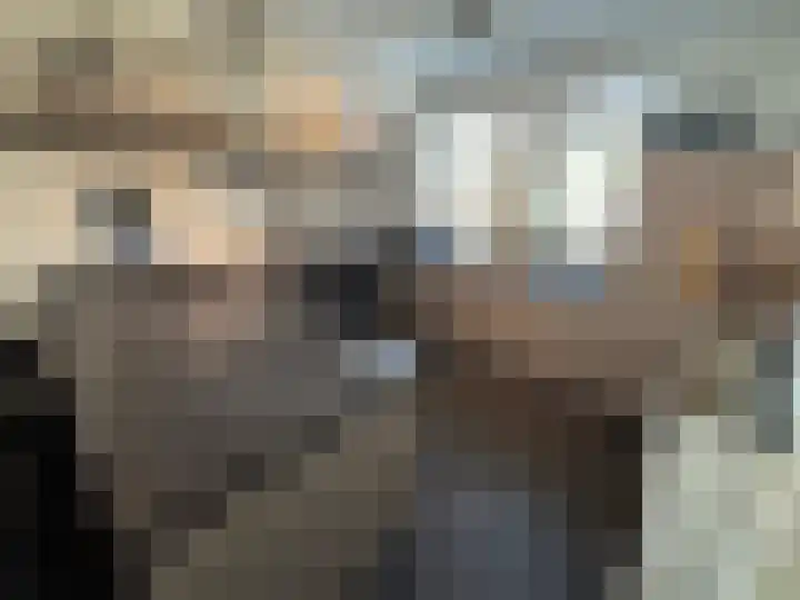 Bremlaan 23 Vroomshoop thumbnail 4
