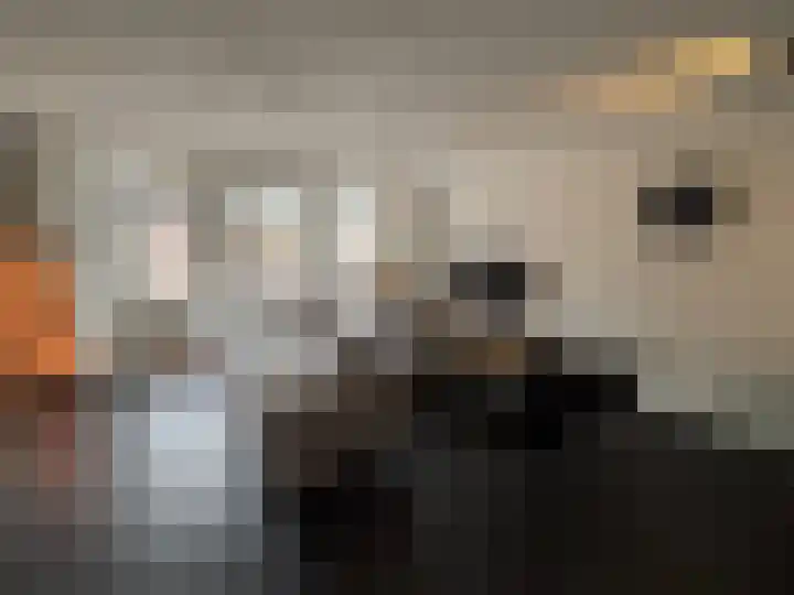 Bremlaan 23 Vroomshoop thumbnail 8