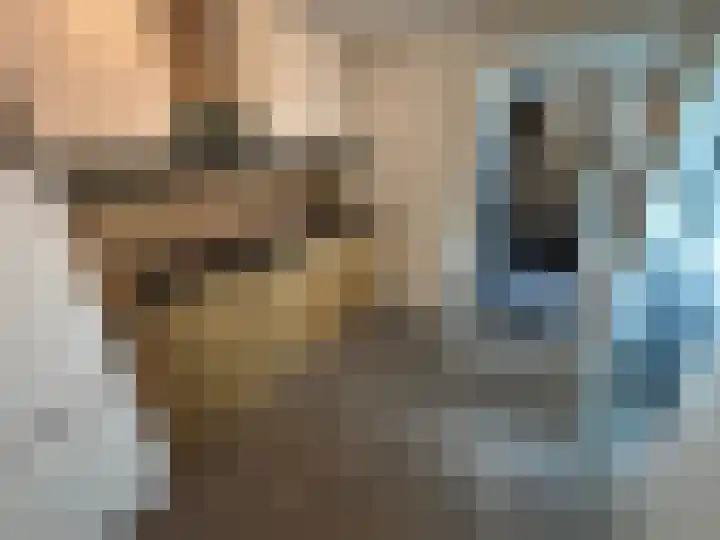 Bremlaan 23 Vroomshoop thumbnail 9