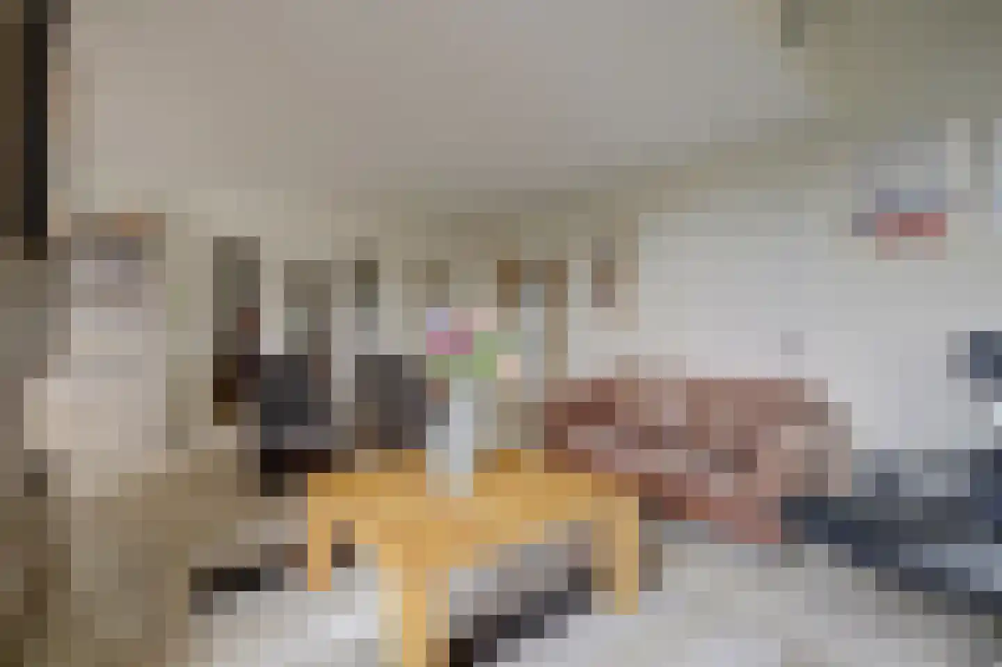Bremlaan 26 Oss thumbnail 17