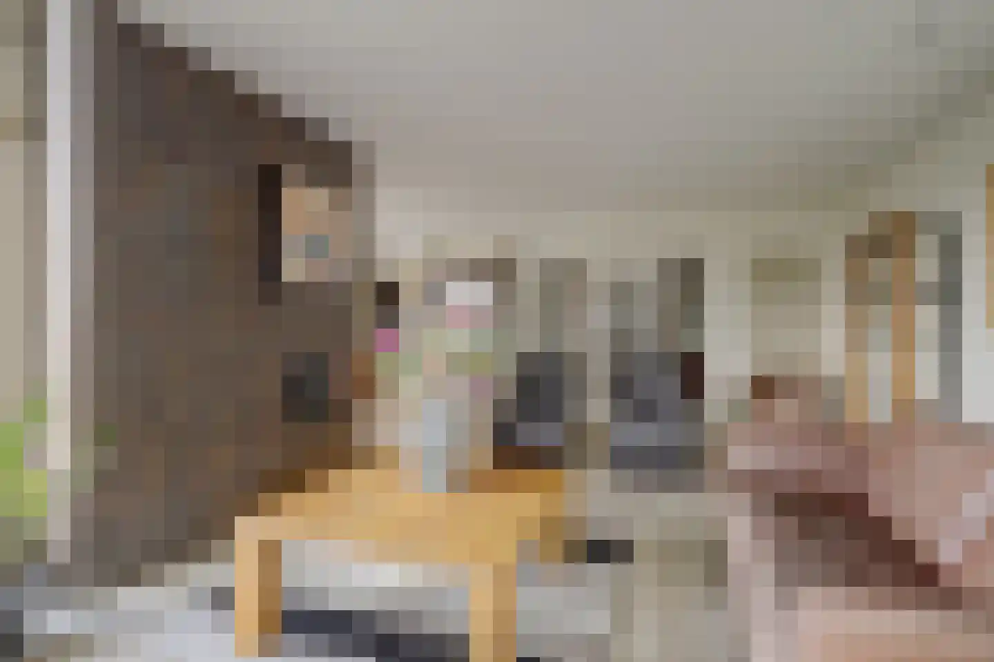 Bremlaan 26 Oss thumbnail 18