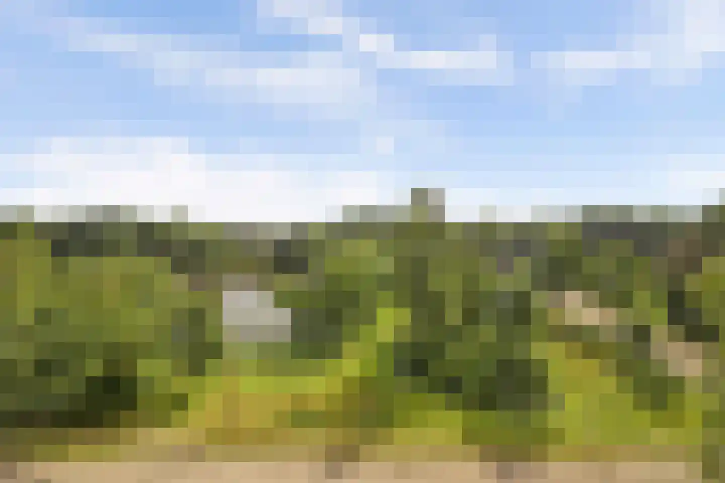 Bremlaan 26 Oss thumbnail 23