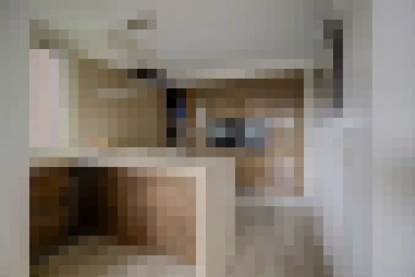 Bremlaan 26 Oss thumbnail 25