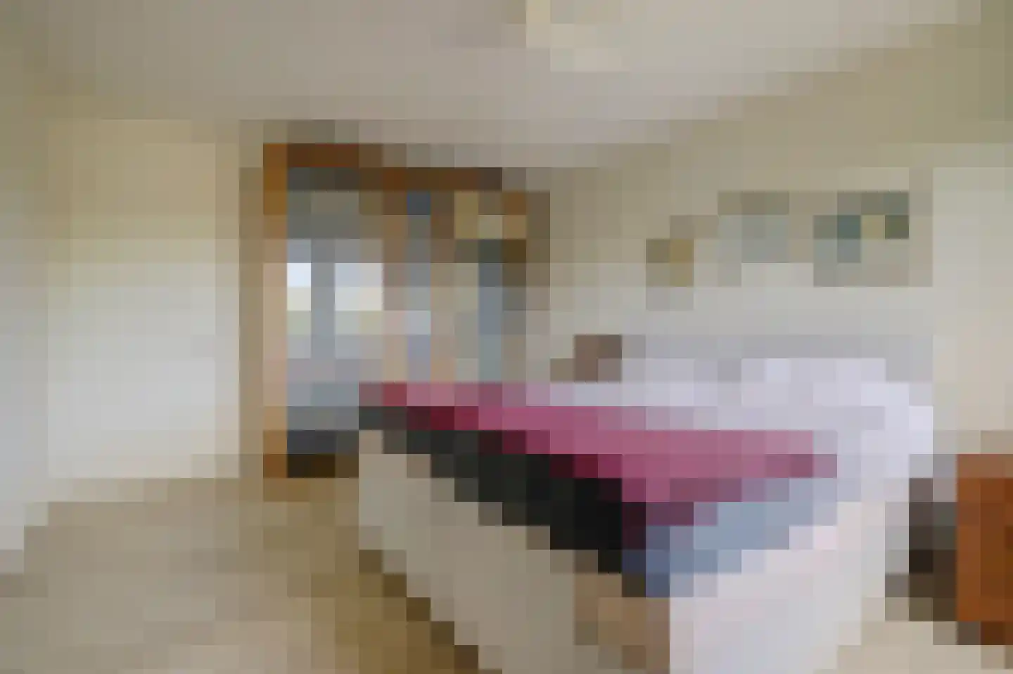 Bremlaan 26 Oss thumbnail 29
