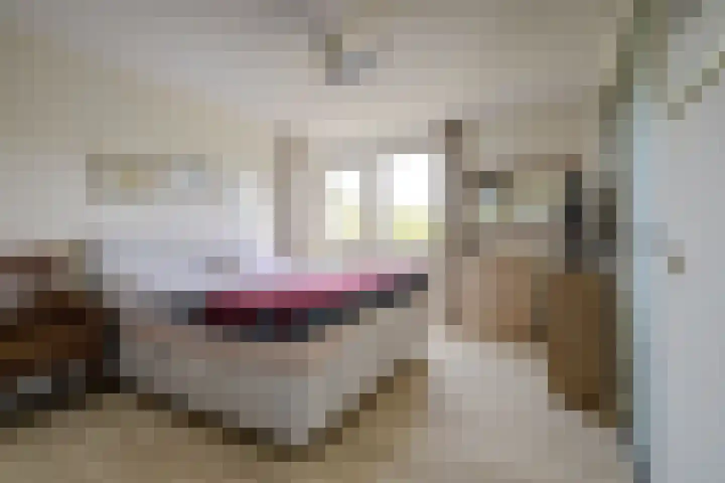 Bremlaan 26 Oss thumbnail 30