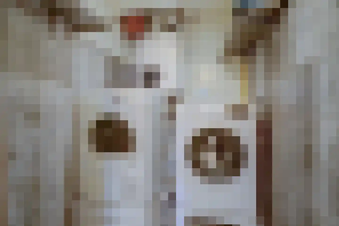 Bremlaan 26 Oss thumbnail 39