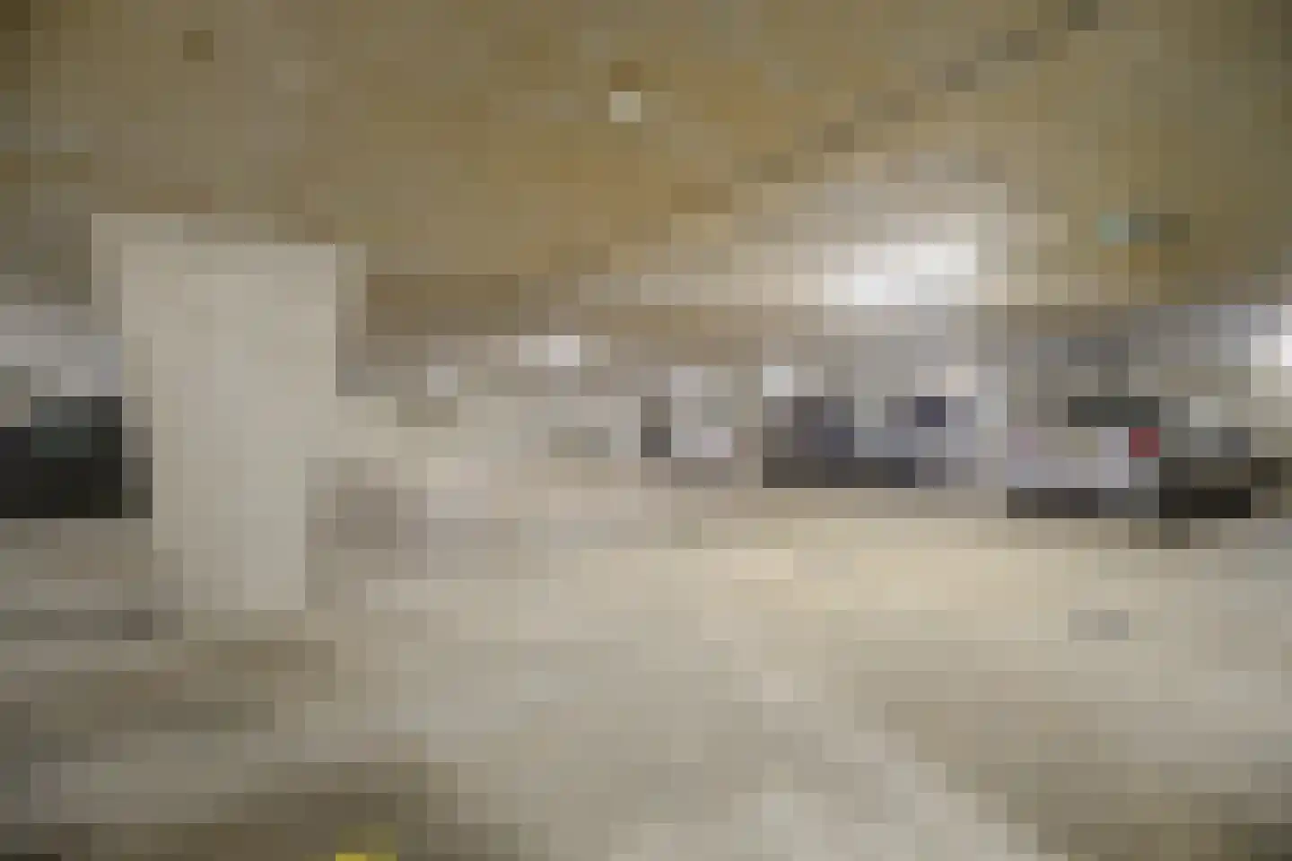 Bremlaan 26 Oss thumbnail 42