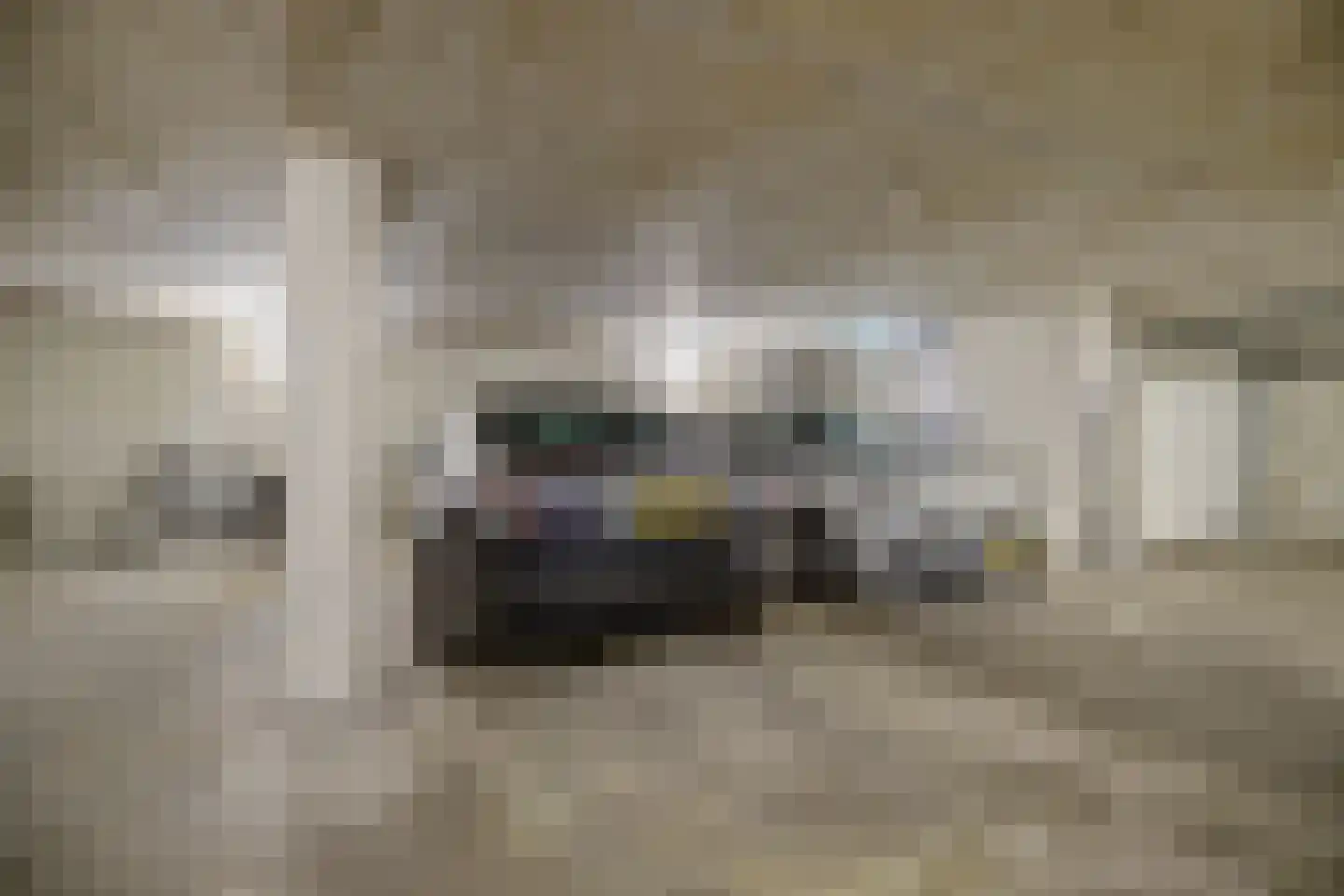 Bremlaan 26 Oss thumbnail 43