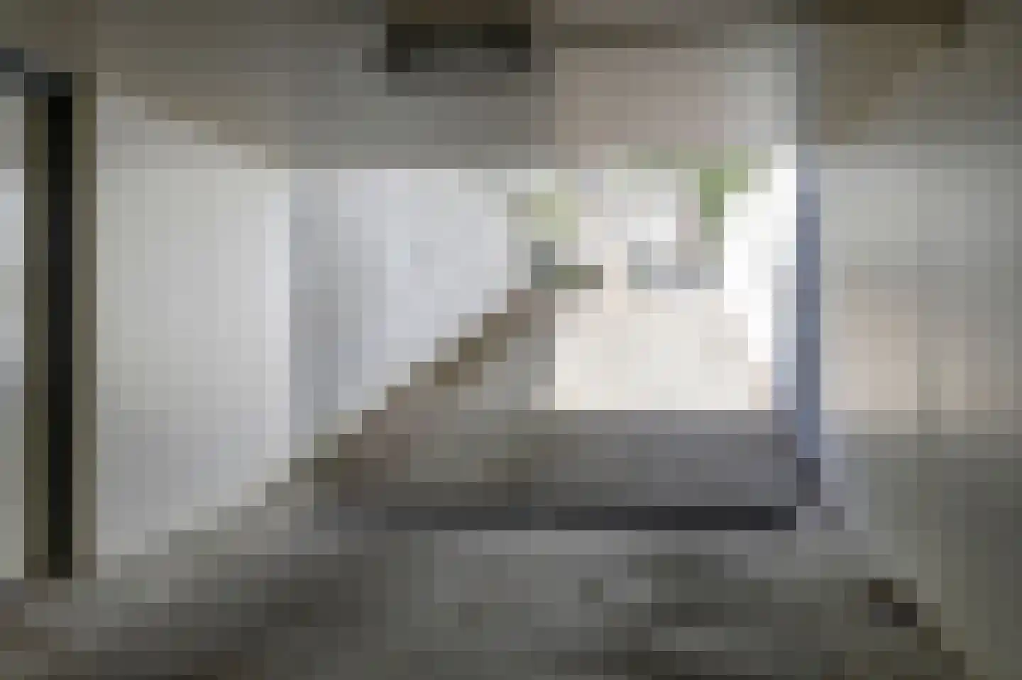 Bremlaan 26 Oss thumbnail 45