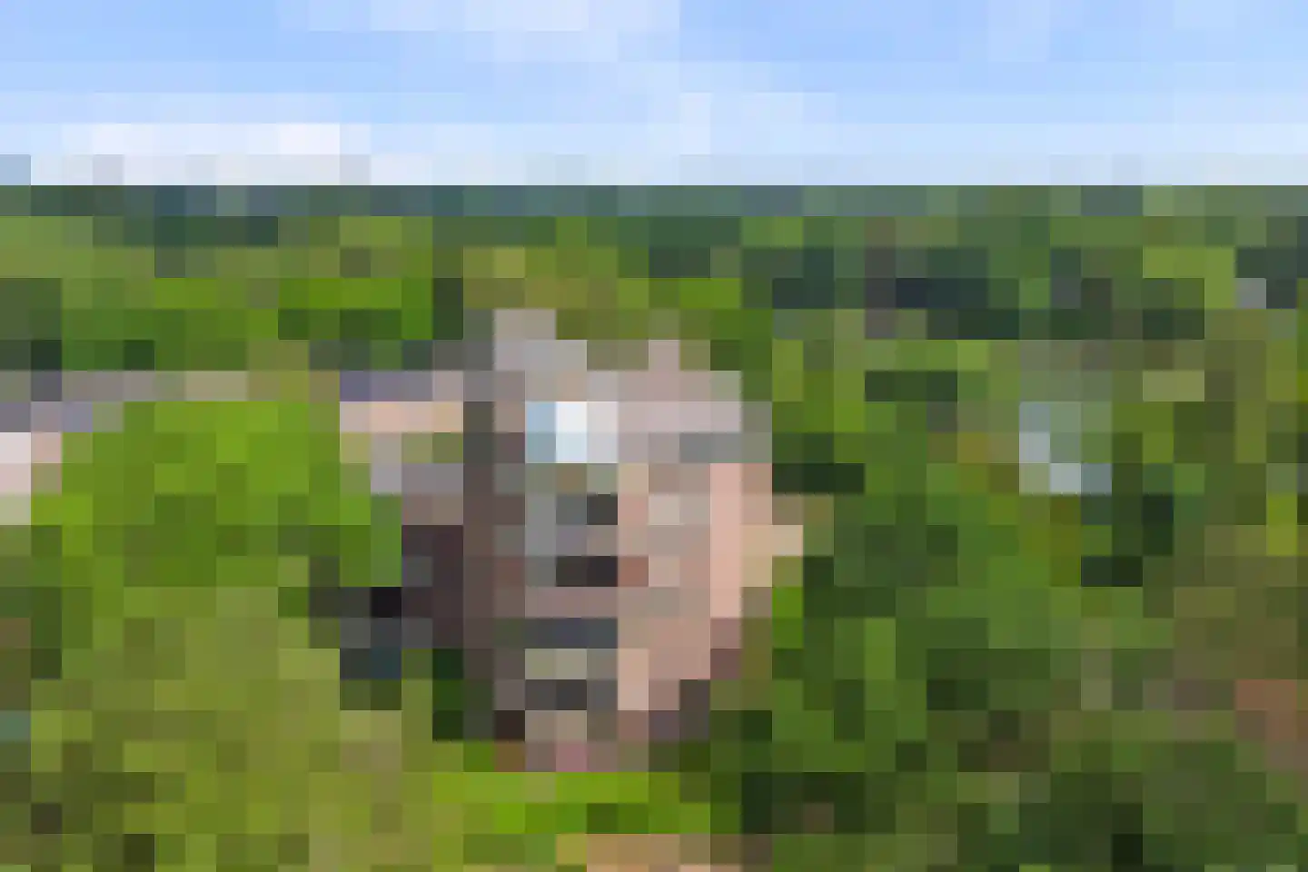 Bremlaan 26 Oss thumbnail 46