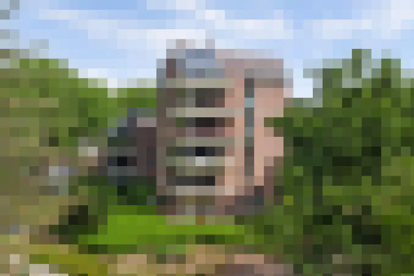 Bremlaan 26 Oss thumbnail 47