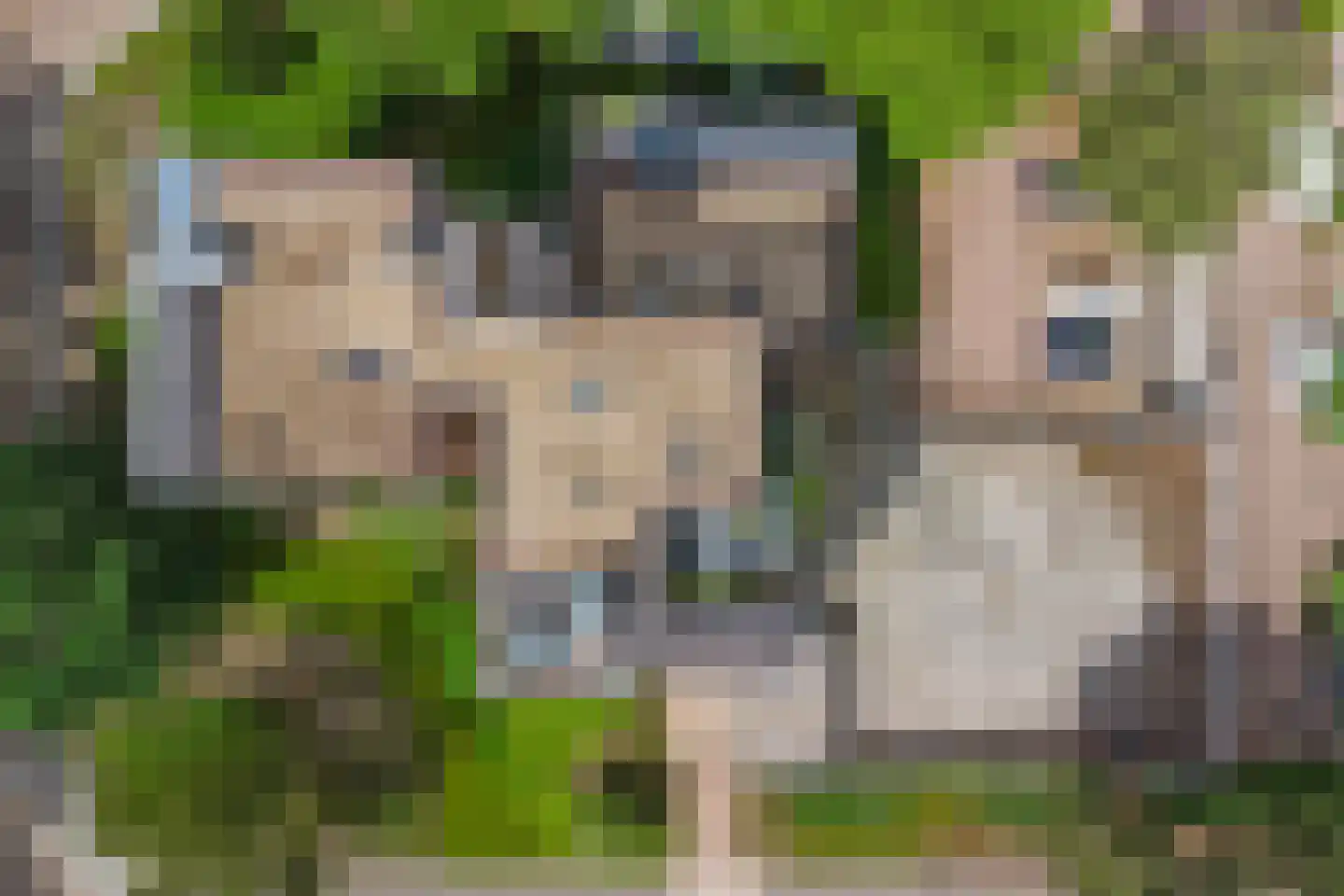 Bremlaan 26 Oss thumbnail 48