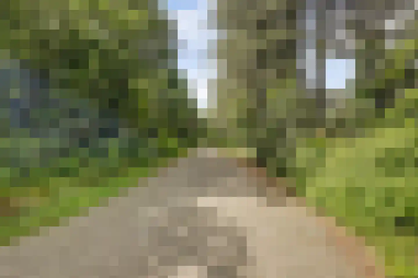 Bremlaan 26 Oss thumbnail 51