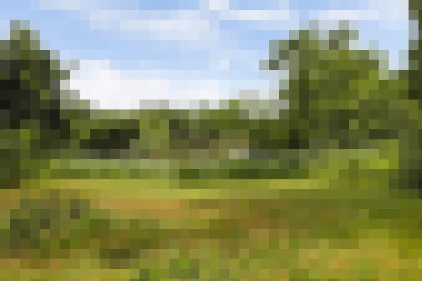 Bremlaan 26 Oss thumbnail 53