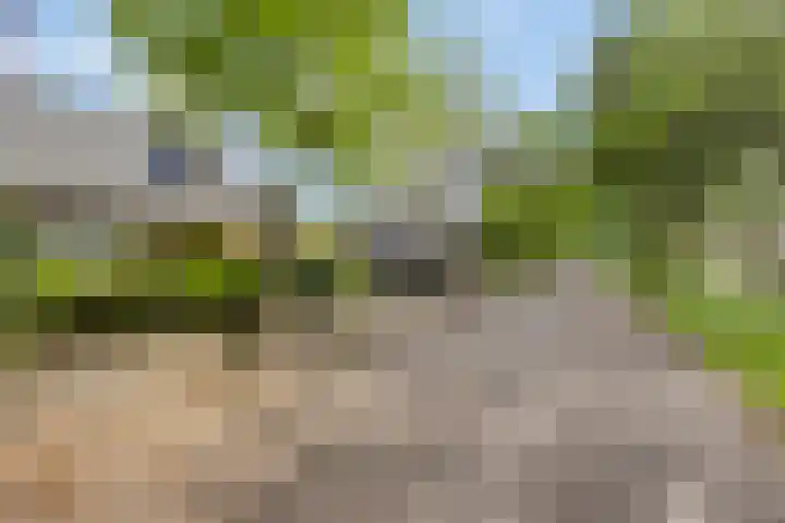 Bremlaan 3 Valkenswaard thumbnail 10