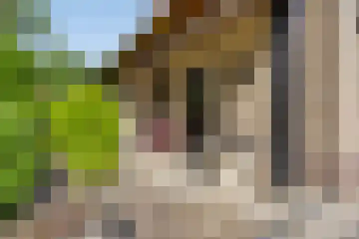 Bremlaan 3 Valkenswaard thumbnail 11