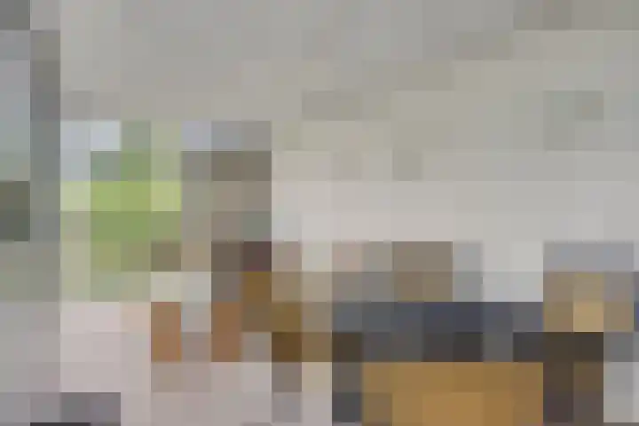 Bremlaan 3 Valkenswaard thumbnail 22