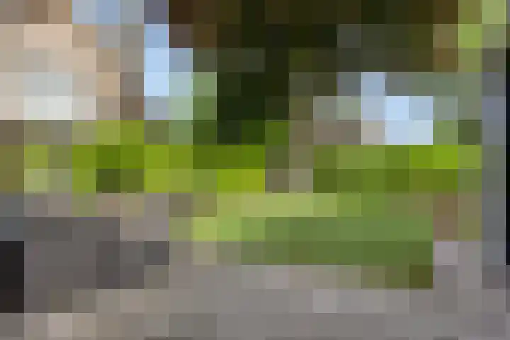 Bremlaan 3 Valkenswaard thumbnail 38