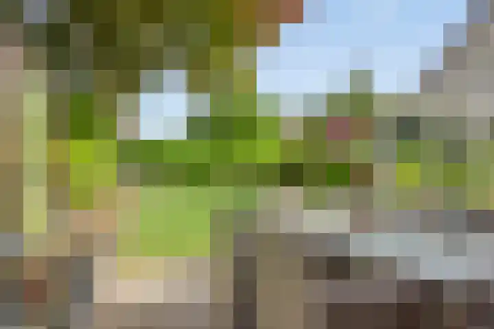 Bremlaan 3 Valkenswaard thumbnail 39