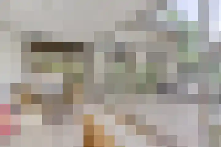 Bremlaan 3 Valkenswaard thumbnail 4