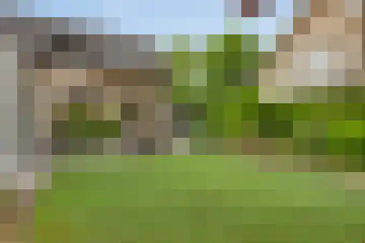 Bremlaan 3 Valkenswaard thumbnail 41