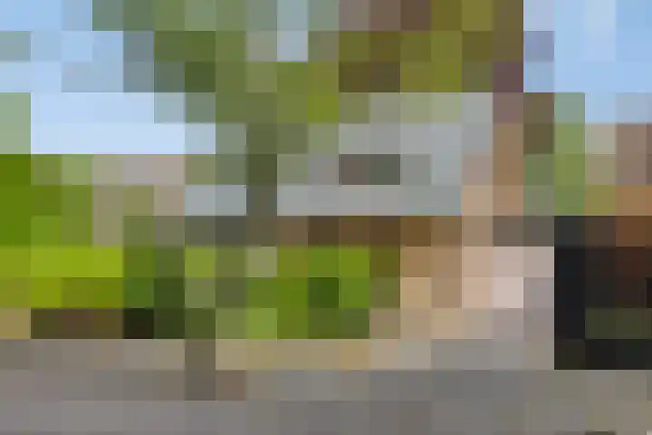 Bremlaan 3 Valkenswaard thumbnail 7