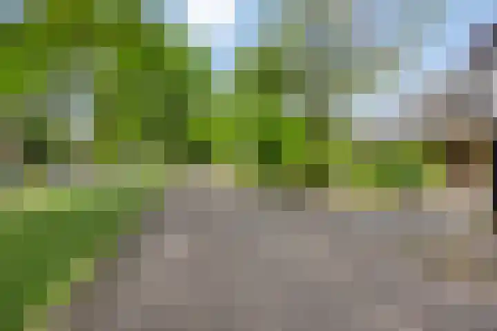 Bremlaan 3 Valkenswaard thumbnail 9