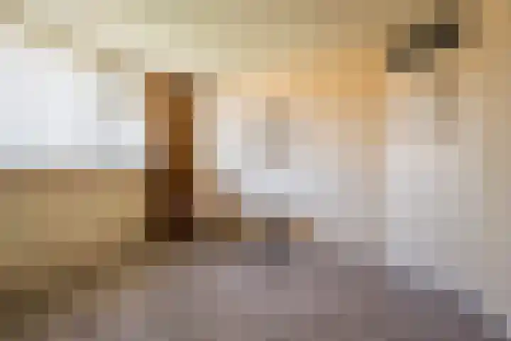 Bremlaan 30 Nijkerk thumbnail 19