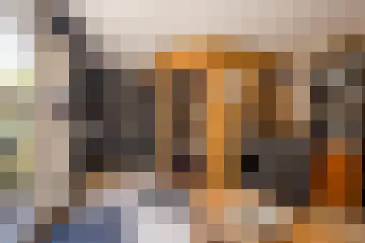Bremlaan 30 Nijkerk thumbnail 39