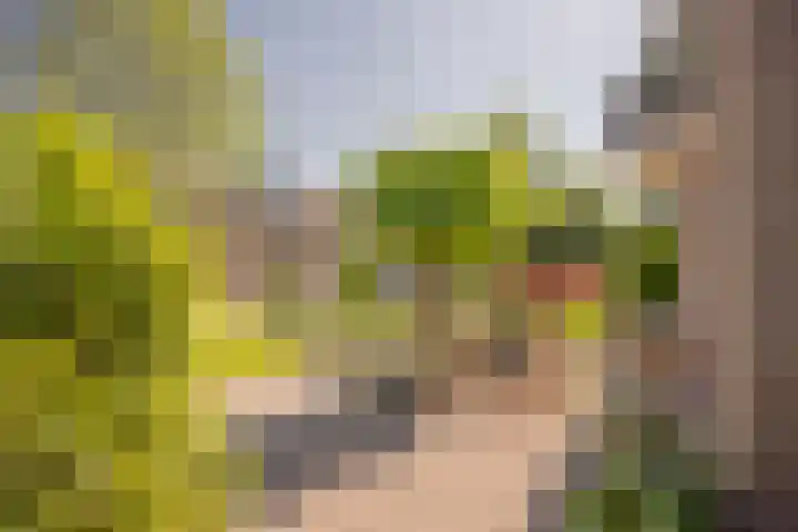 Bremlaan 30 Nijkerk thumbnail 43