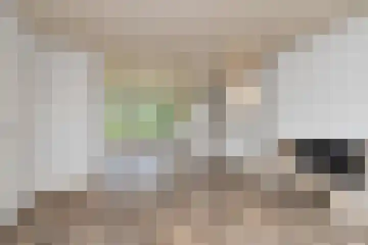 Bremlaan 32 Bosch en Duin thumbnail 13
