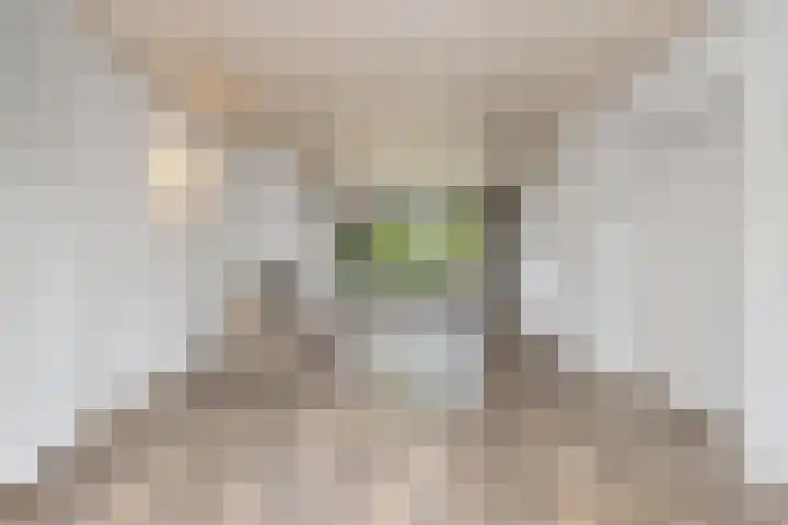 Bremlaan 32 Bosch en Duin thumbnail 15