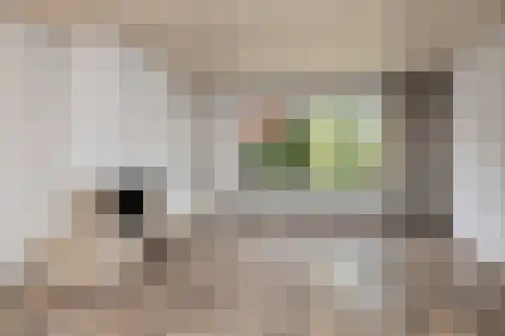 Bremlaan 32 Bosch en Duin thumbnail 18