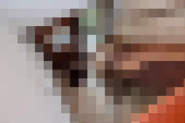 Bremlaan 32 Bosch en Duin thumbnail 35