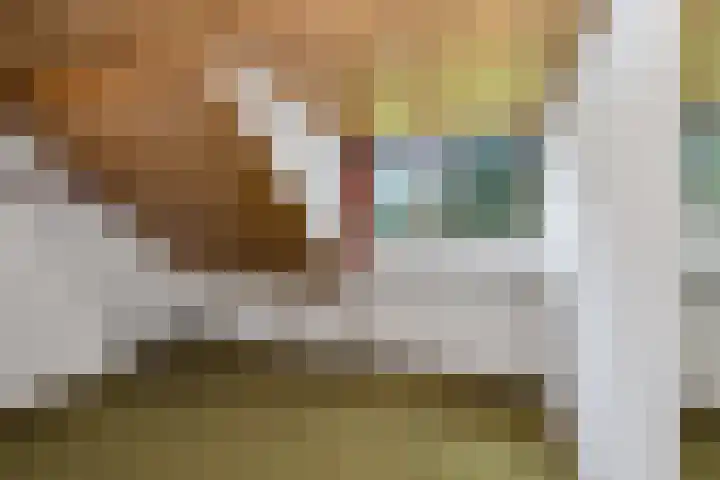 Bremlaan 32 Bosch en Duin thumbnail 39