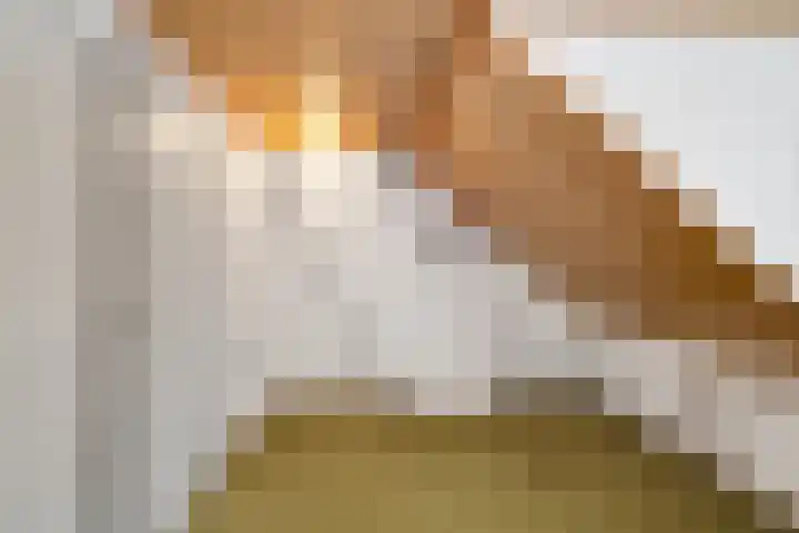 Bremlaan 32 Bosch en Duin thumbnail 40
