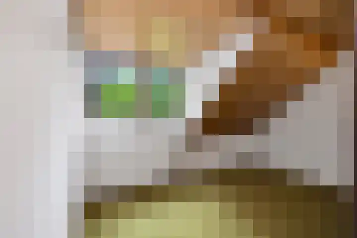 Bremlaan 32 Bosch en Duin thumbnail 42