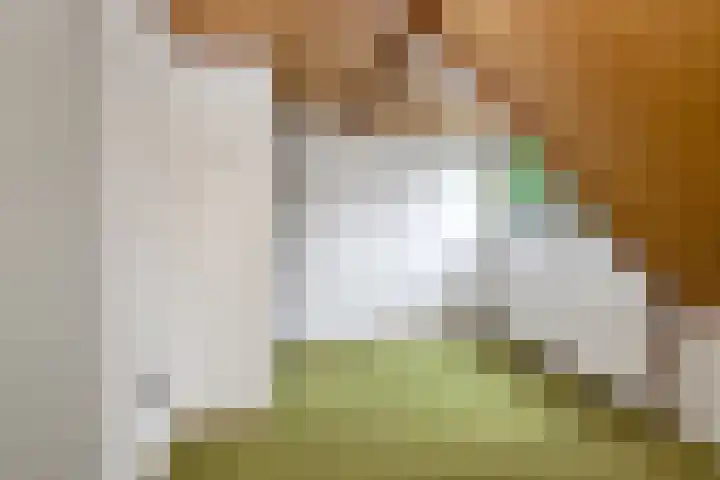 Bremlaan 32 Bosch en Duin thumbnail 43