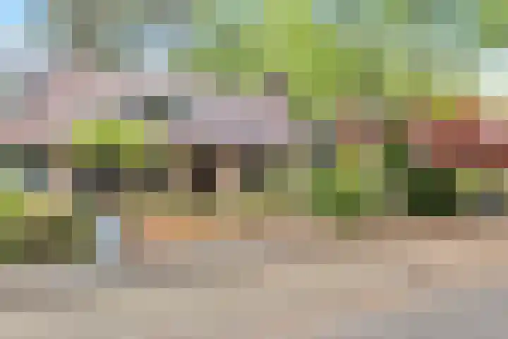 Bremlaan 32 Bosch en Duin thumbnail 5