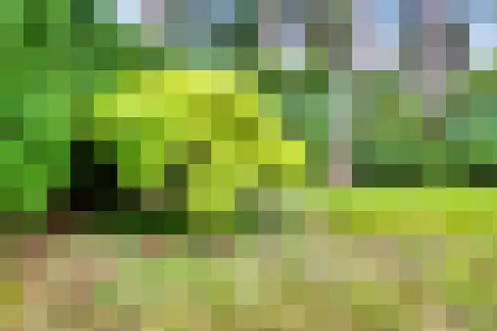 Bremlaan 32 Bosch en Duin thumbnail 51