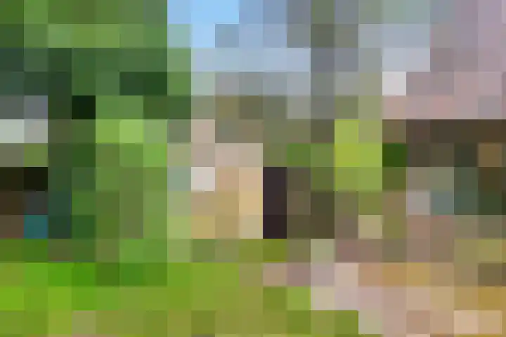 Bremlaan 32 Bosch en Duin thumbnail 53