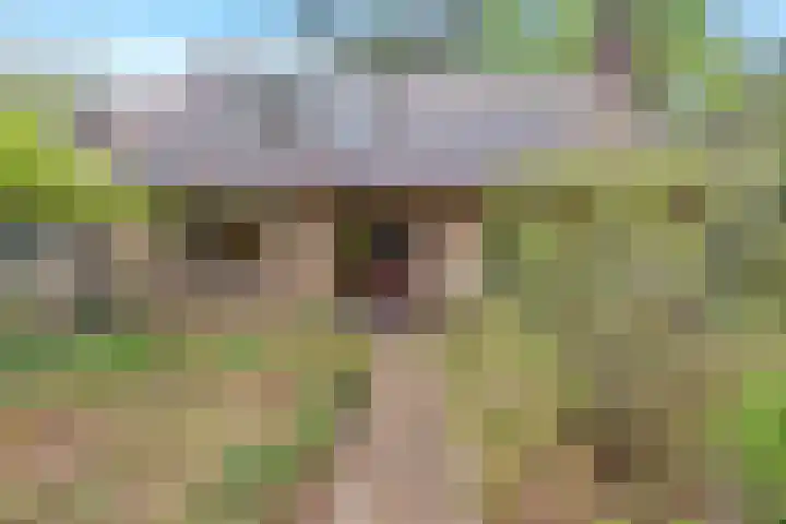 Bremlaan 32 Bosch en Duin thumbnail 6