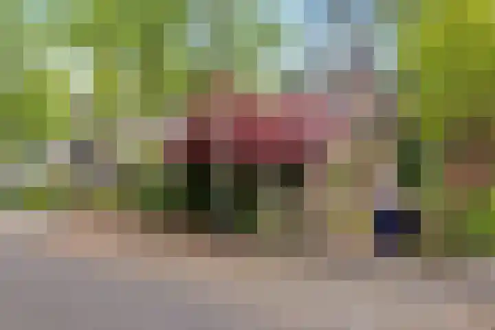 Bremlaan 32 Bosch en Duin thumbnail 7