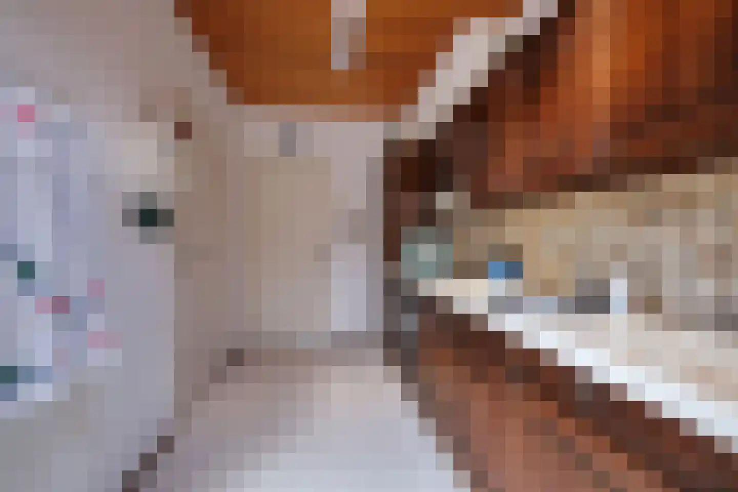 Bremlaan 37 Ede thumbnail 11