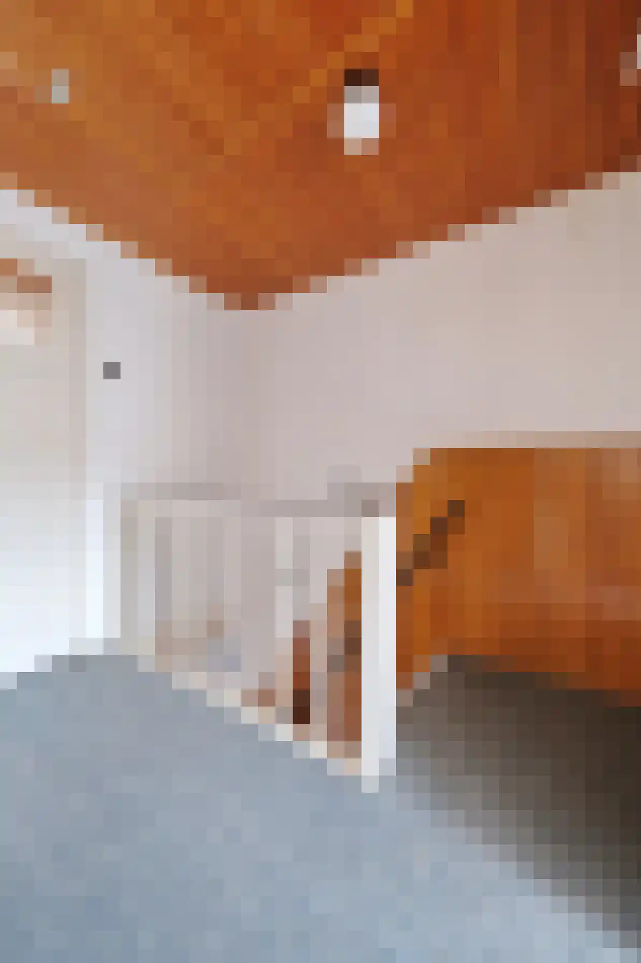 Bremlaan 37 Ede thumbnail 14