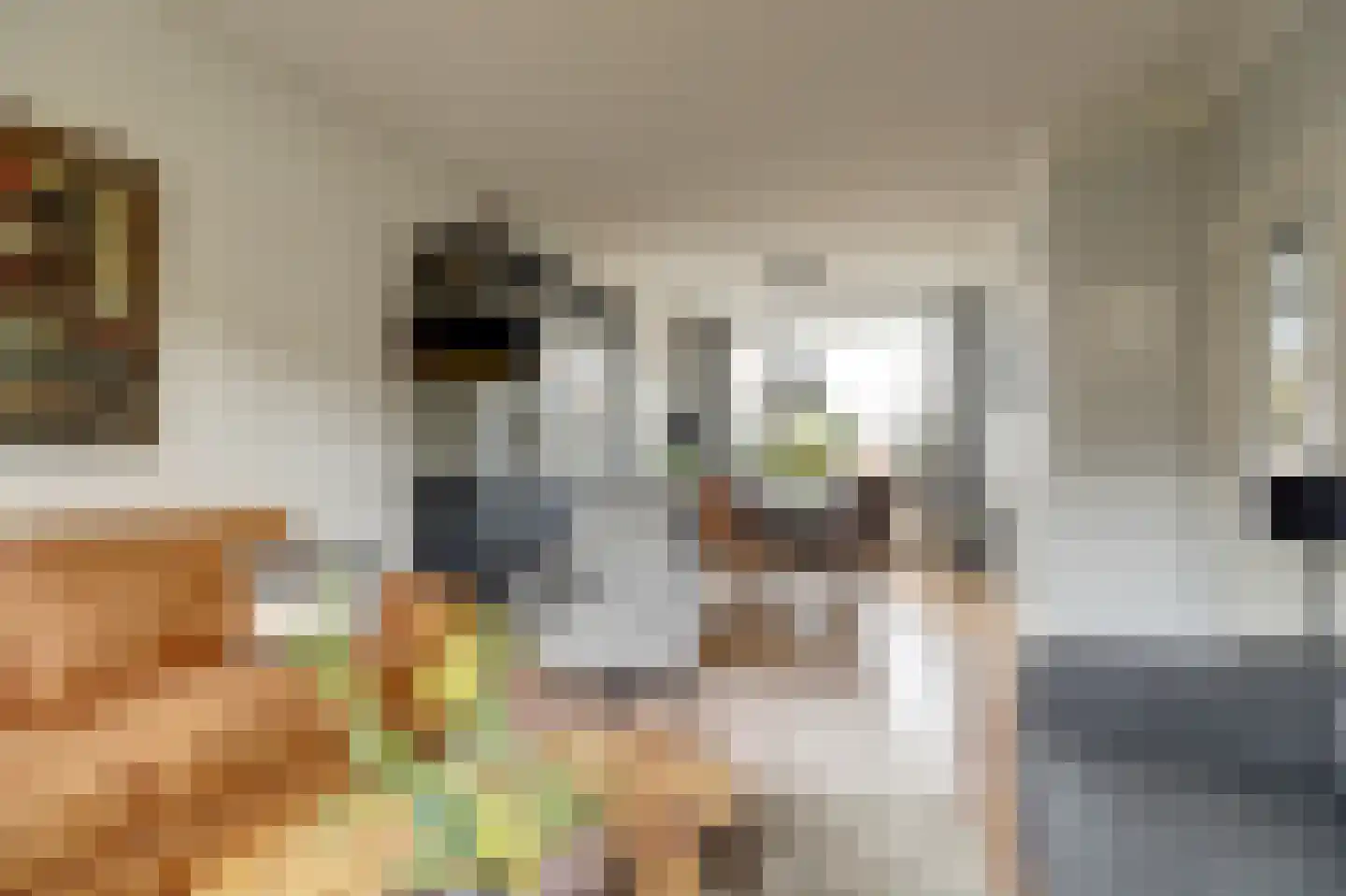 Bremlaan 4 Gouda thumbnail 10