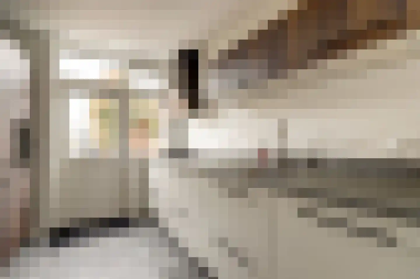 Bremlaan 4 Gouda thumbnail 14